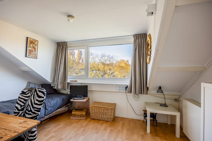 Foto 41 van Alligatorstraat 29