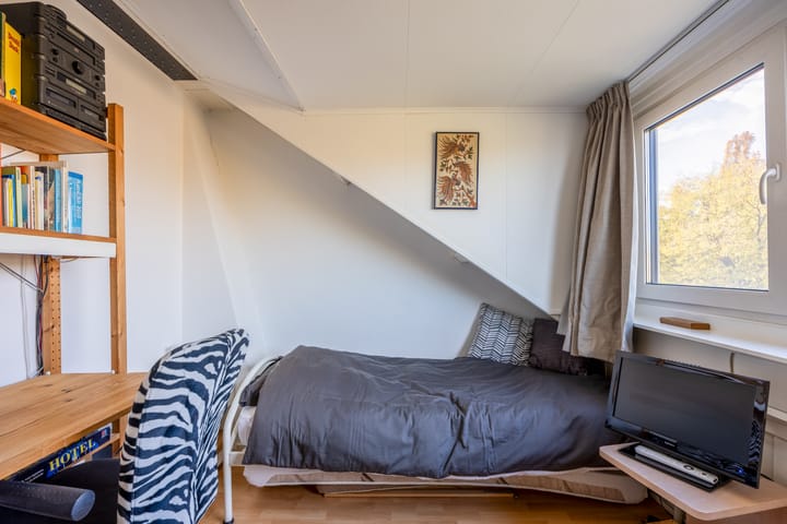 Foto 42 van Alligatorstraat 29