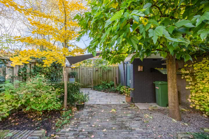 Foto 47 van Alligatorstraat 29