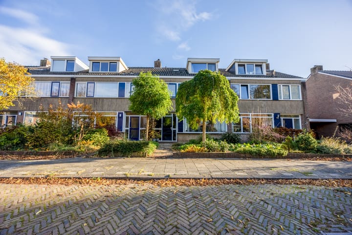 Foto 52 van Alligatorstraat 29