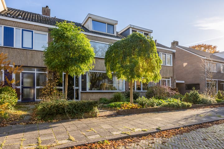 Foto 53 van Alligatorstraat 29