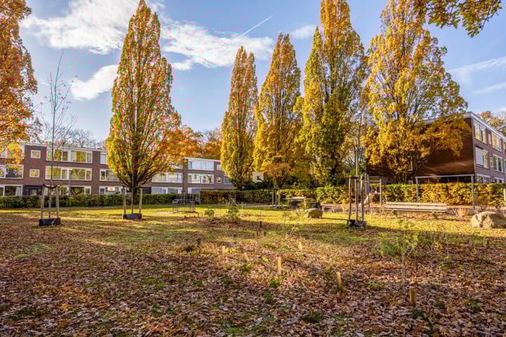 Foto 54 van Alligatorstraat 29