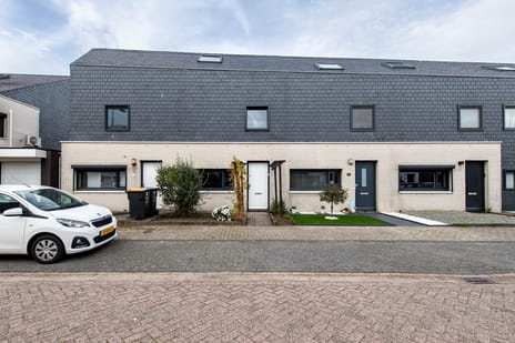 undefined main image