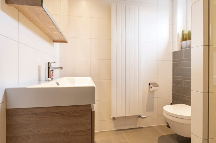 Photo 11 of Goudrenet 8