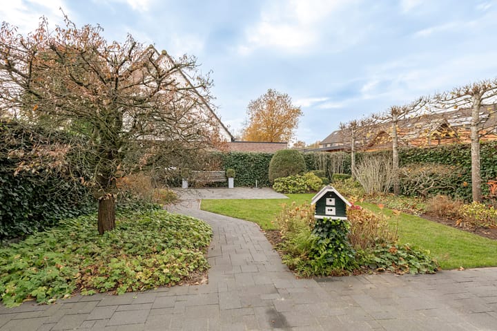 Photo 19 of Goudrenet 8