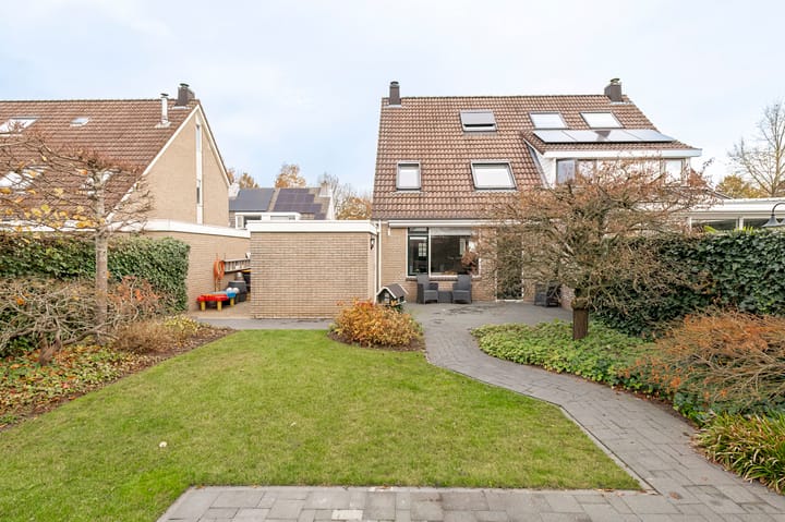 Photo 20 of Goudrenet 8