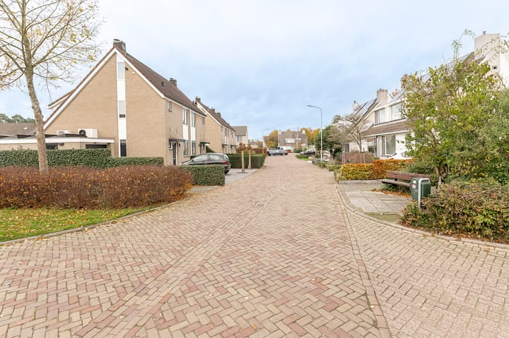 Photo 24 of Goudrenet 8