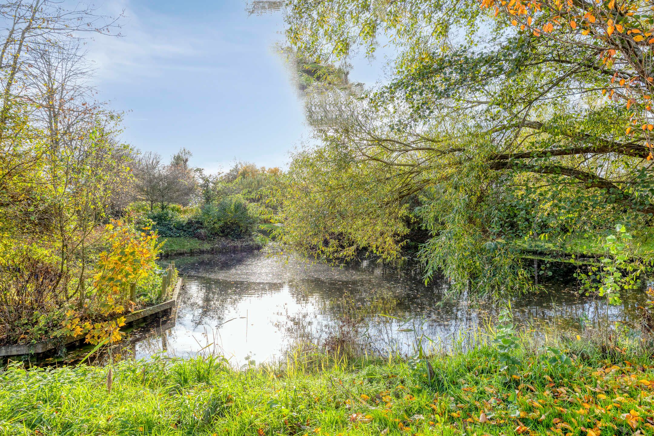 Foto 39 van Vijverstraat 5