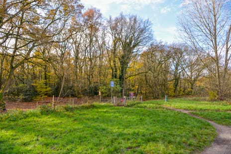 Banckertlaan 231 tertiary image