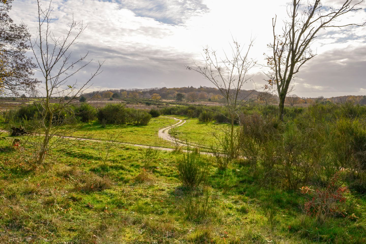 Photo 5 of Banckertlaan 231