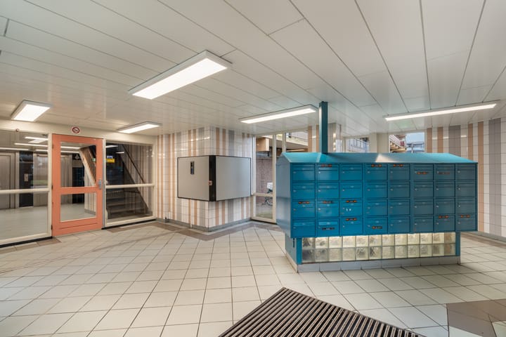 Photo 7 of Laveibos 202