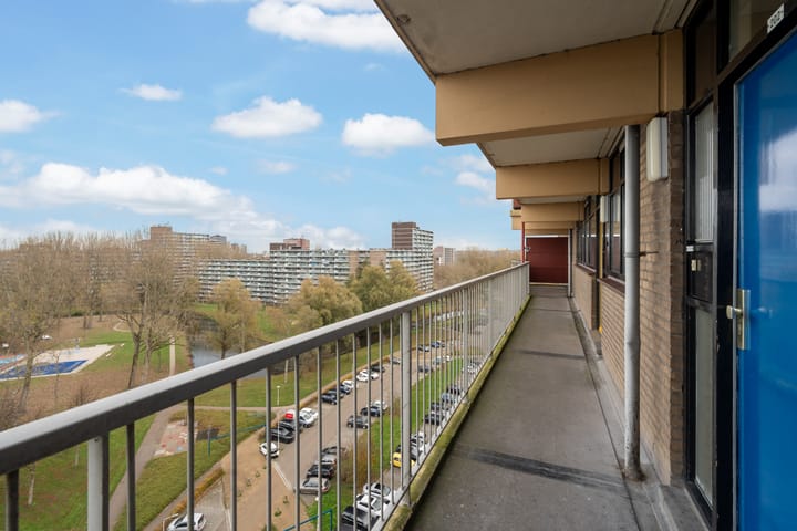 Photo 9 of Laveibos 202