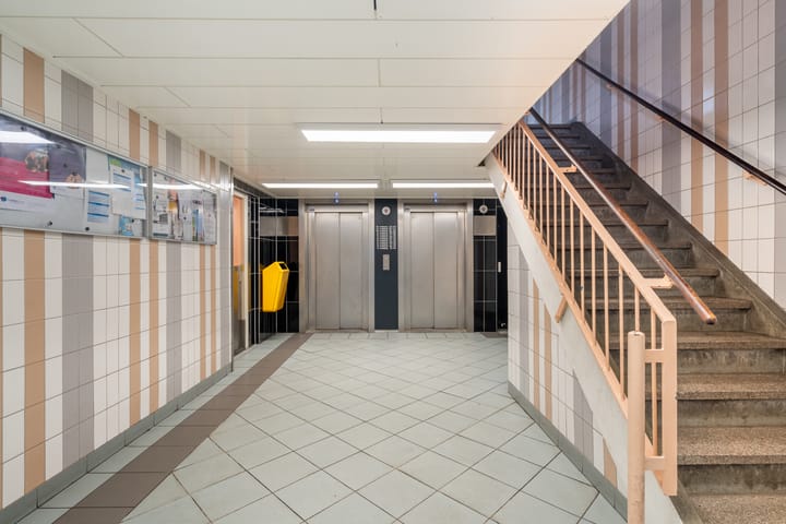 Photo 8 of Laveibos 202