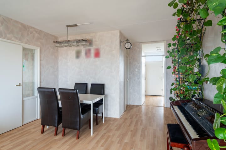 Photo 21 of Laveibos 202