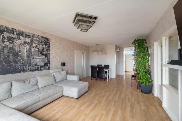 Photo 20 of Laveibos 202