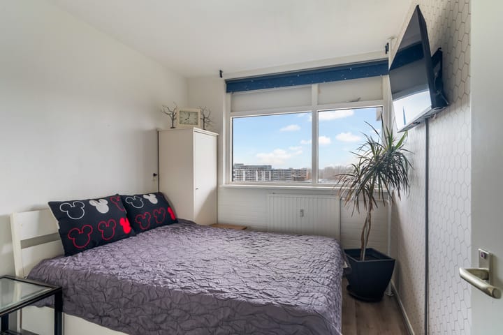 Photo 26 of Laveibos 202