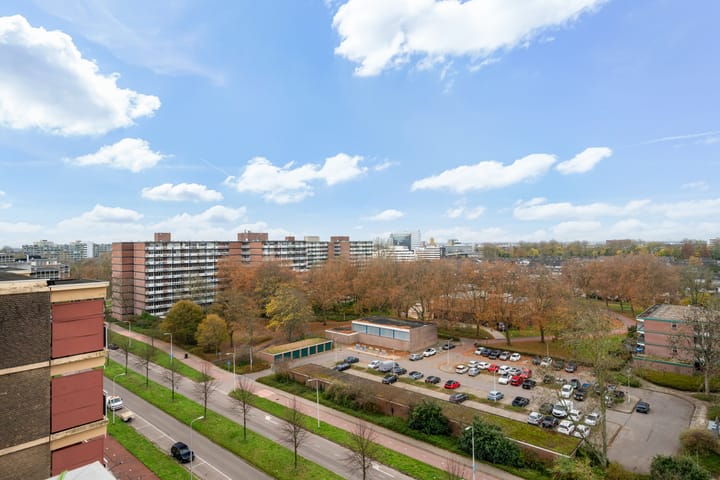 Photo 34 of Laveibos 202