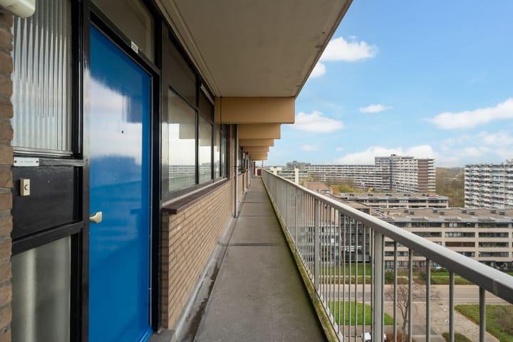 Photo 40 of Laveibos 202