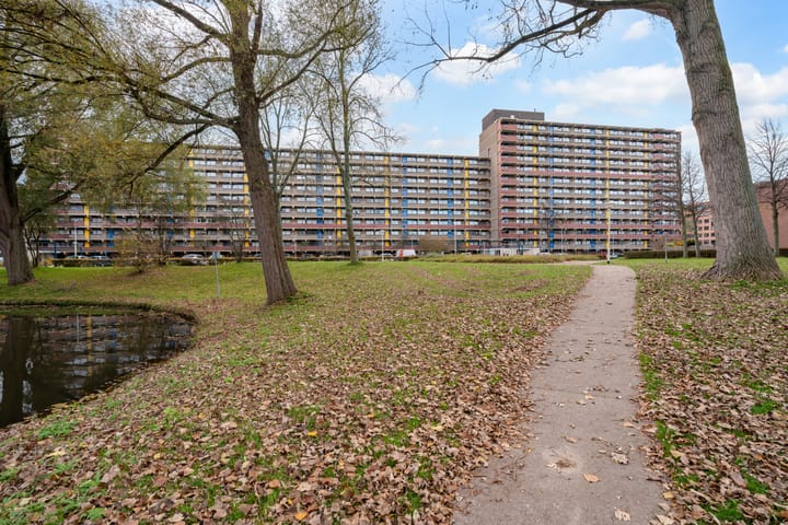 Photo 42 of Laveibos 202