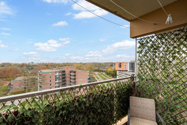 Photo 32 of Laveibos 202