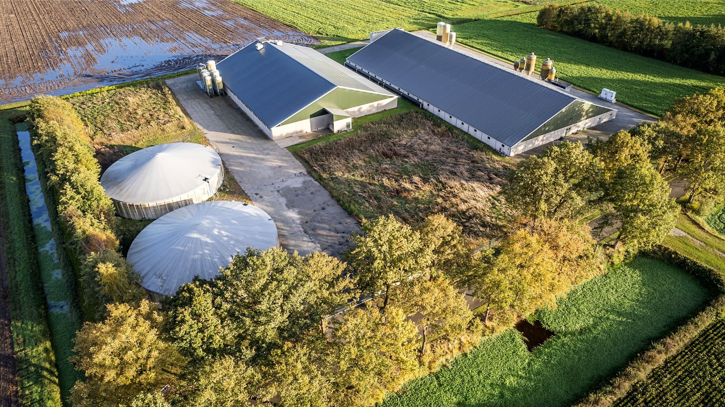 Bekijk foto 3 van Limietweg 146