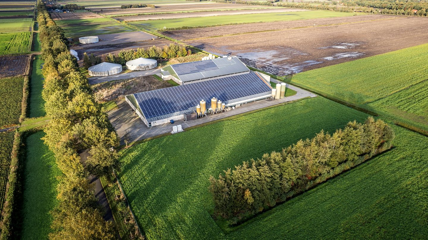 Bekijk foto 4 van Limietweg 146