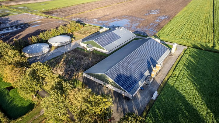 Limietweg 146, Barger-Compascuum