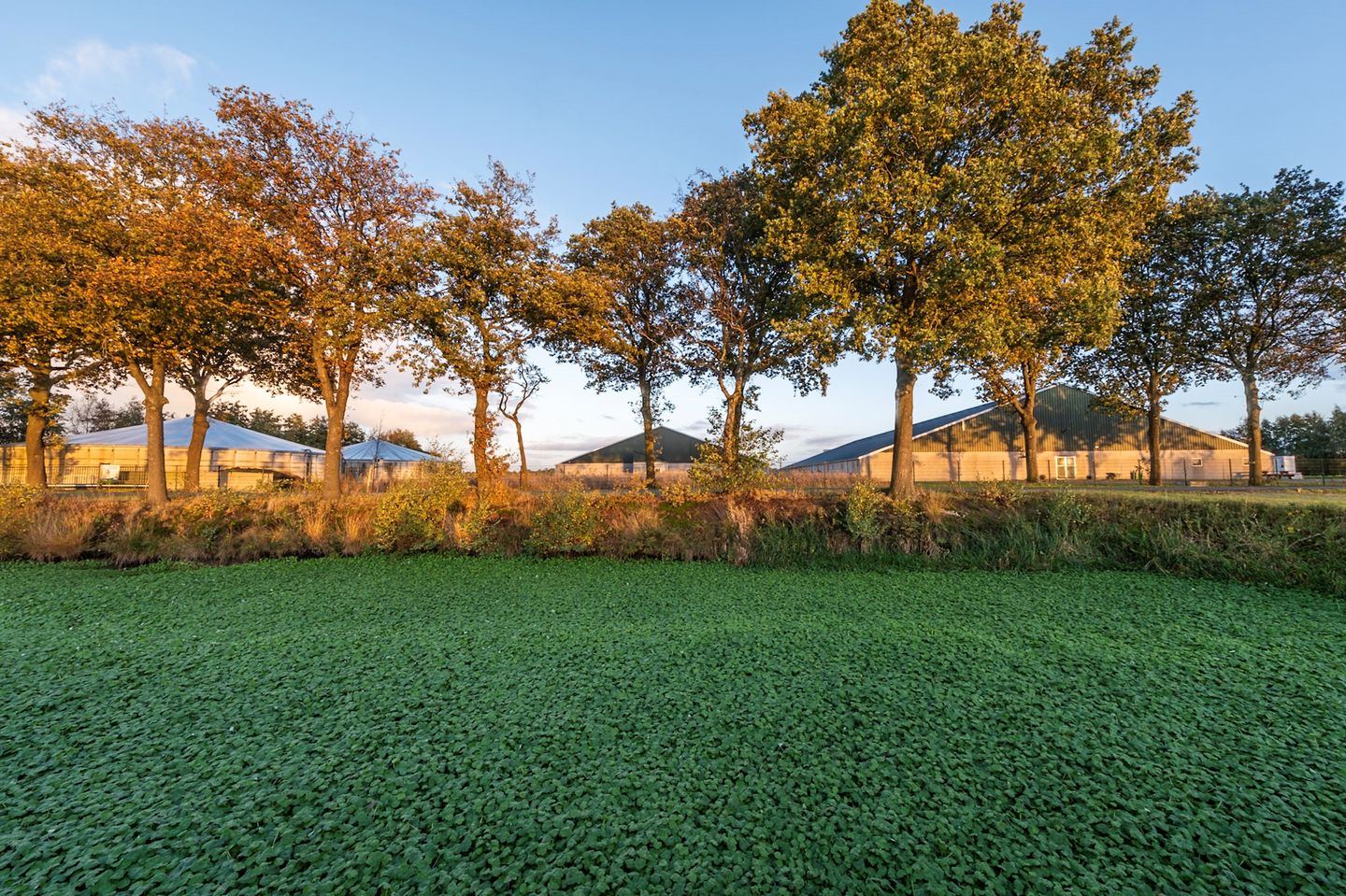 Bekijk foto 5 van Limietweg 146