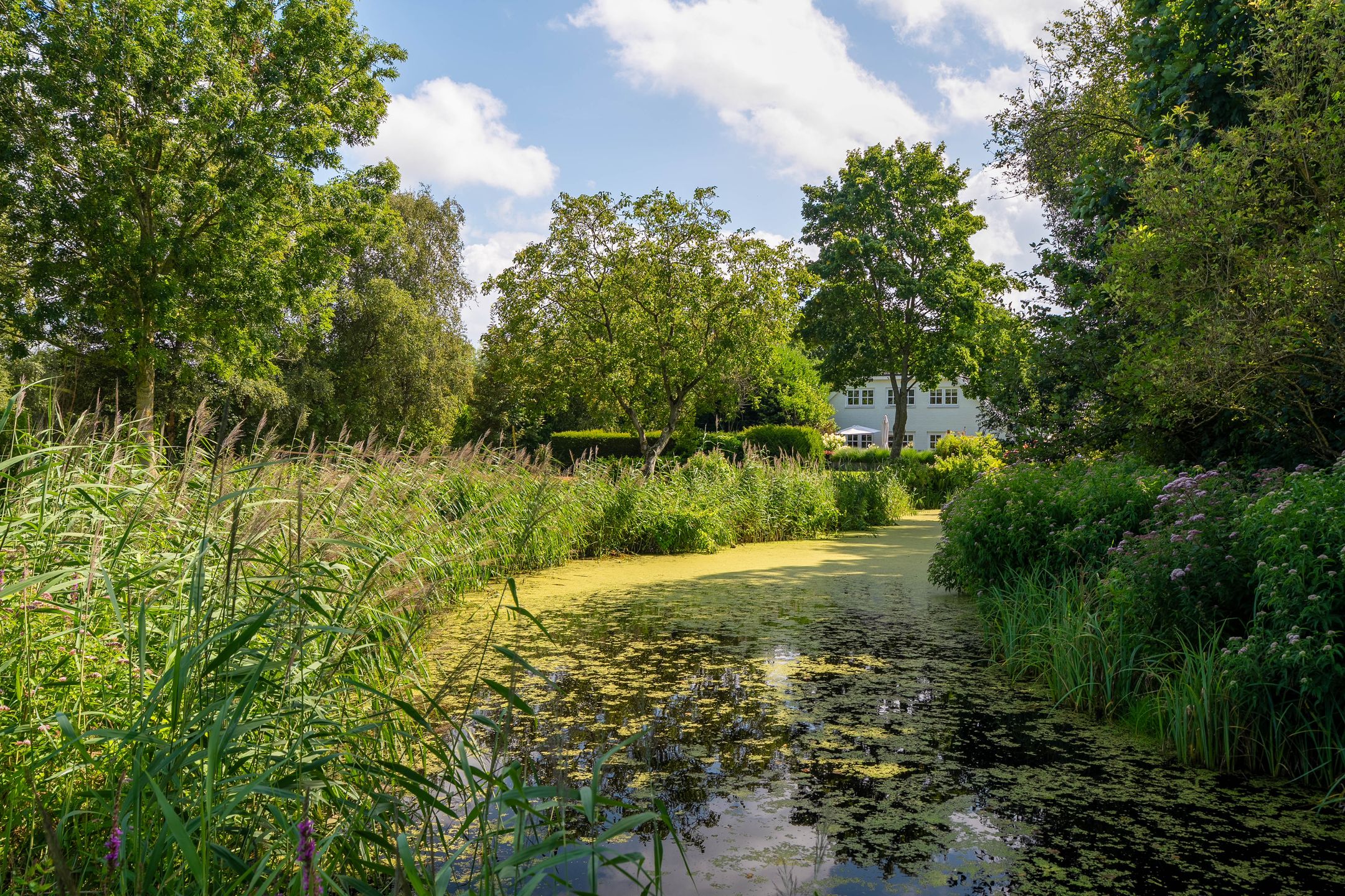 Photo 6 of Waterhuizerweg 82