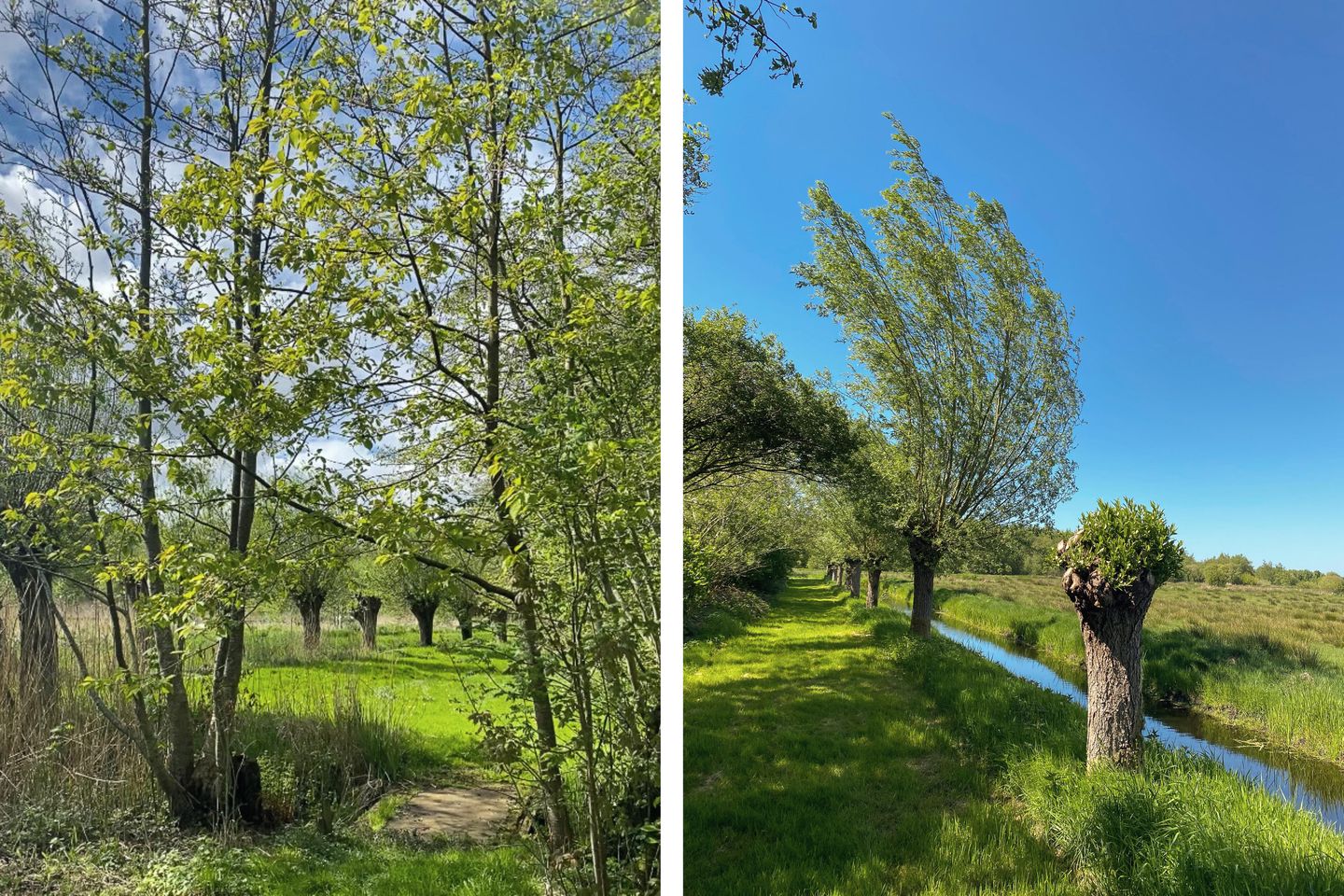 Photo 80 of Waterhuizerweg 82