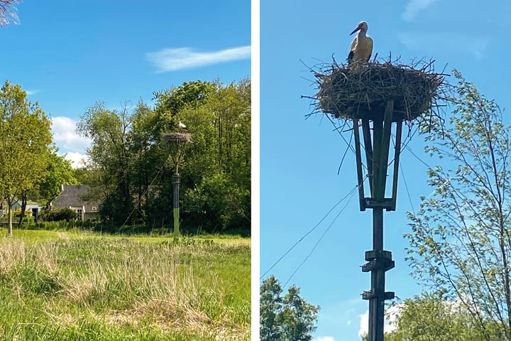 Photo 81 of Waterhuizerweg 82