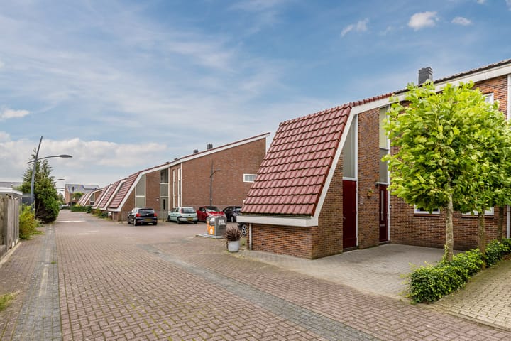 Foto 56 van IJsbloem 27