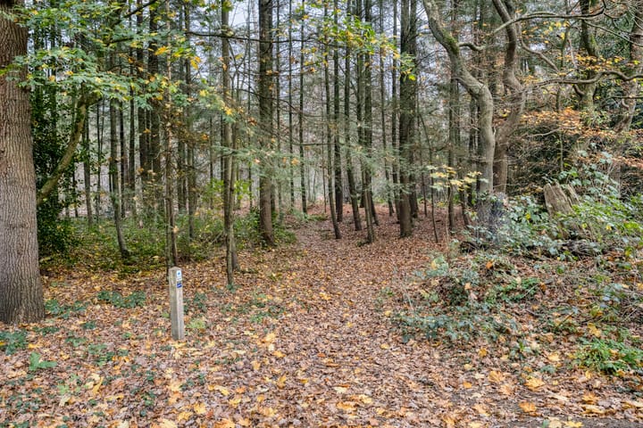 Photo 33 of De Cloese 123