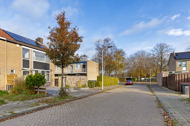 Foto 6 van Terlune 2