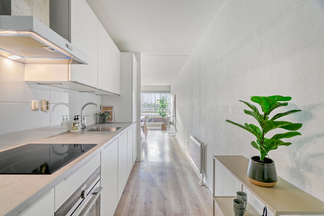 Photo 13 of Oeverpad 290