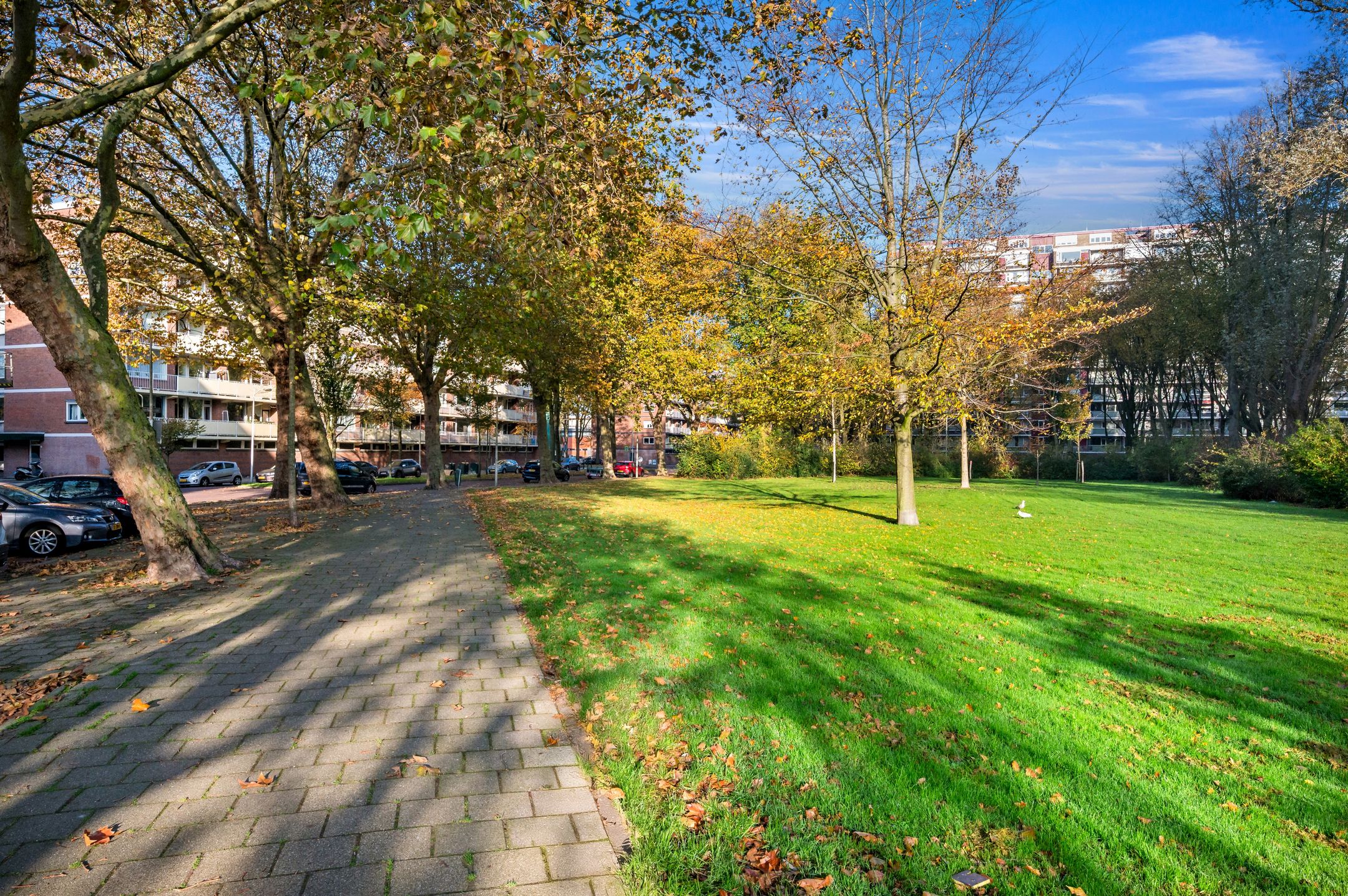 Foto 27 van Nieuwendamlaan 472