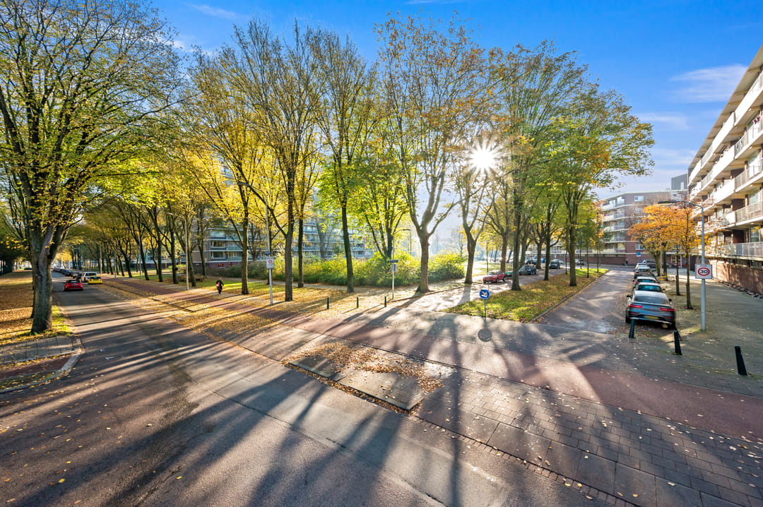 Foto 28 van Nieuwendamlaan 472