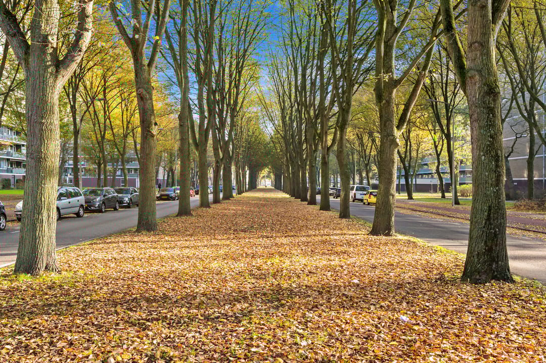 Foto 31 van Nieuwendamlaan 472