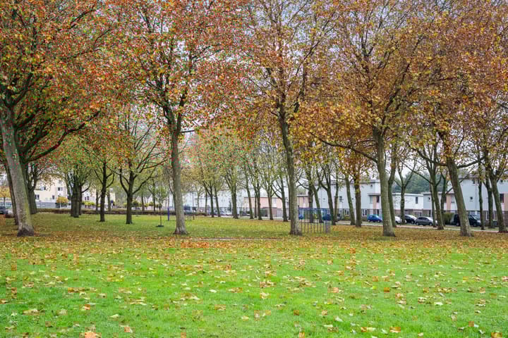 Photo 35 of Heksenwiellaan 233