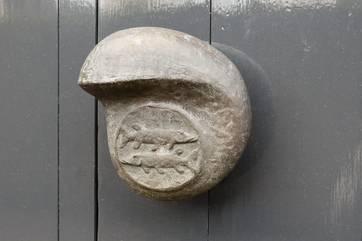 Photo 75 of Kamperfoeliestraat 23