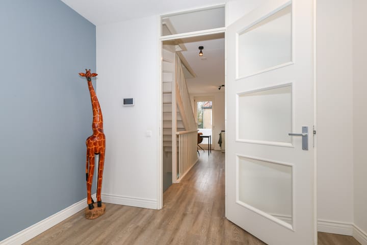 Foto 21 van Dorpsweg 41