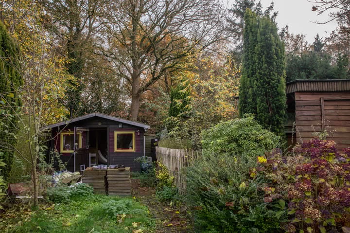 Foto 42 van Boerdijk 14