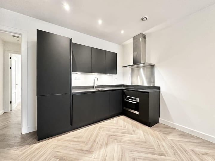 Foto 3 van Van Ostadestraat 172-H