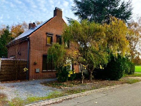 undefined main image