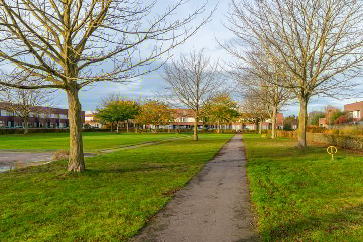 Photo 50 of Korne 22