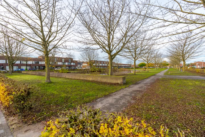 Photo 51 of Korne 22