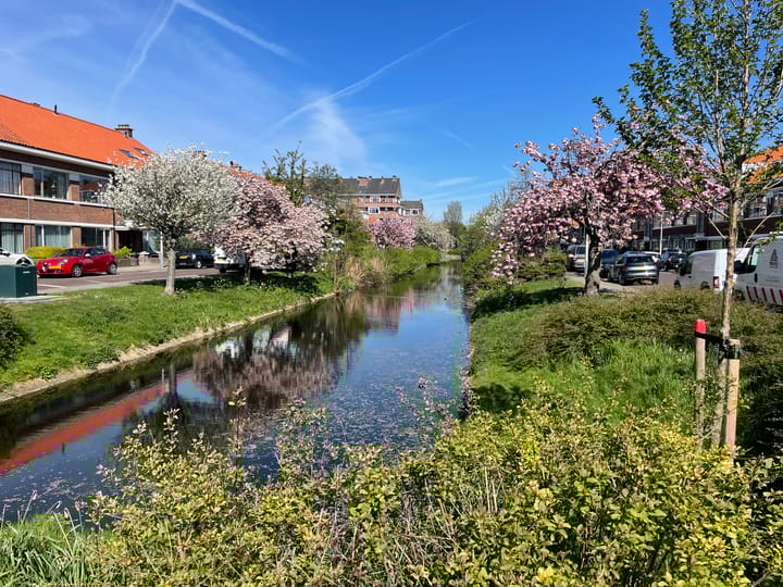 Photo 45 of Tannhäuserstraat 33