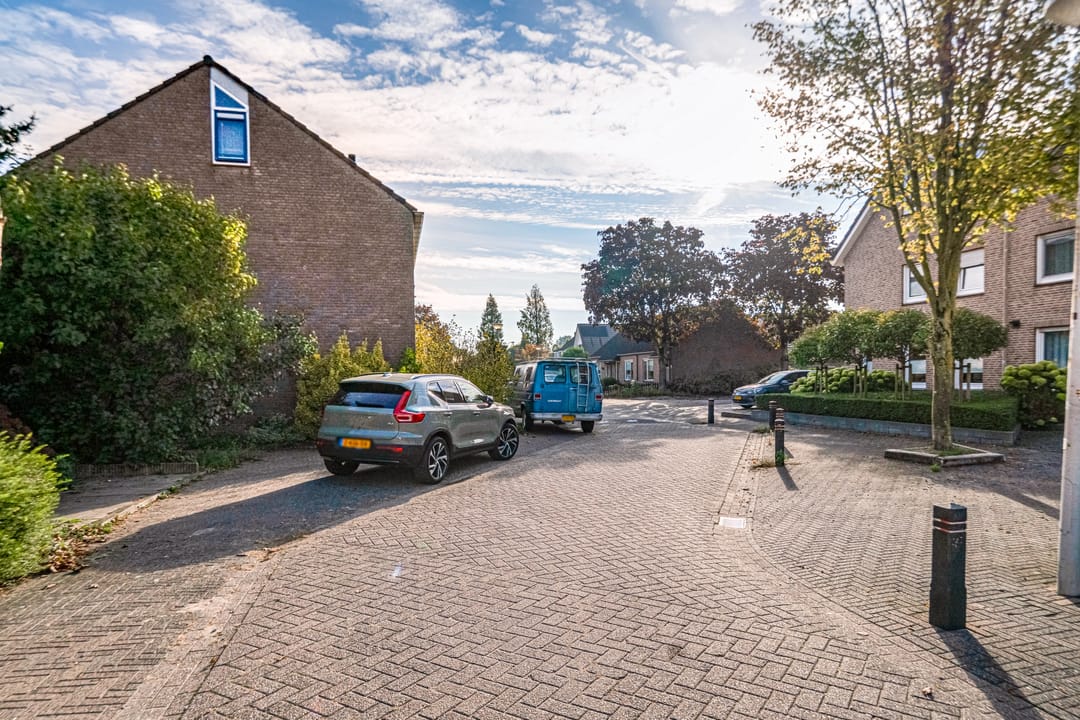 Photo 31 of Morgen 7