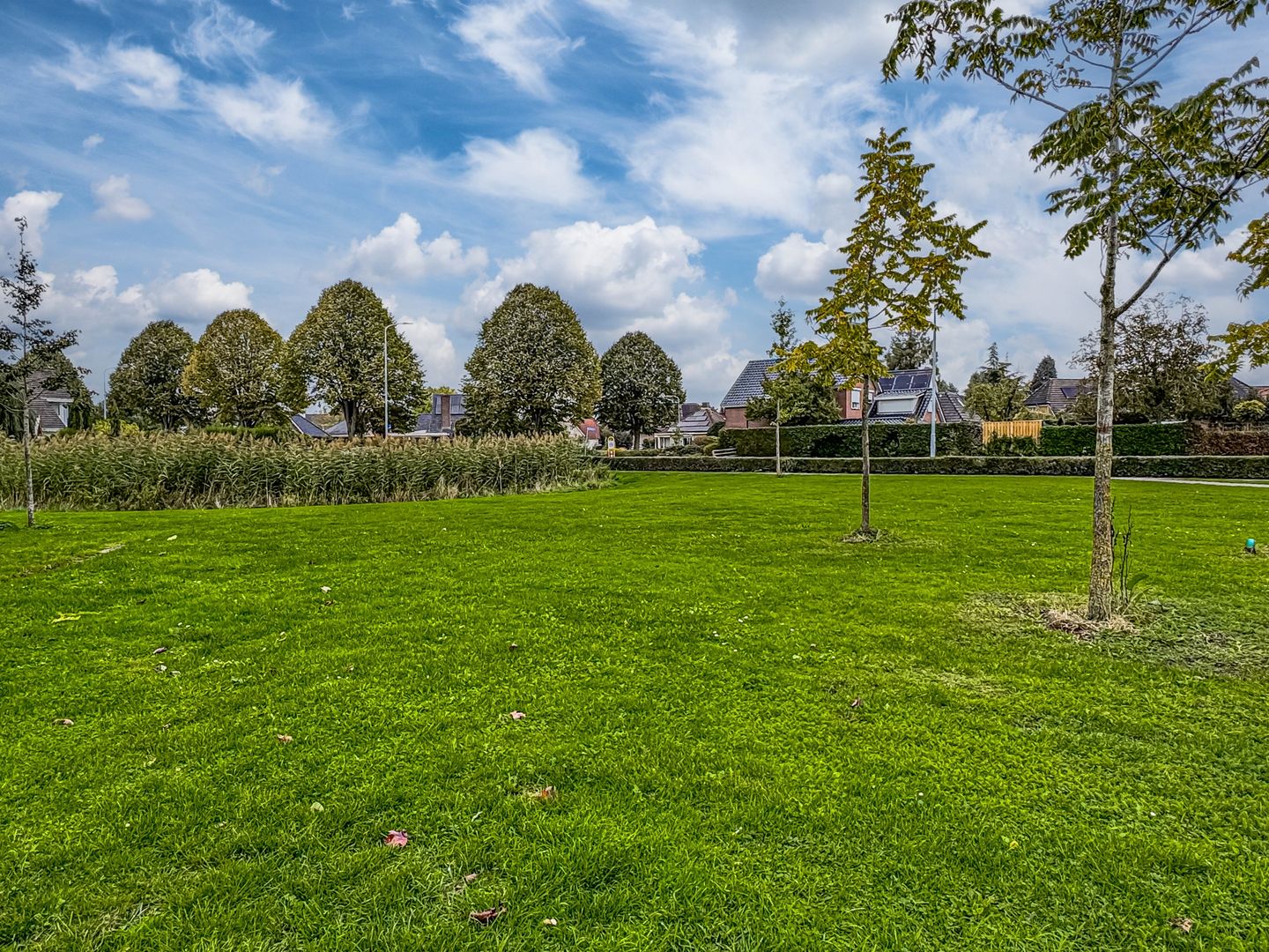 Photo 34 of Morgen 7