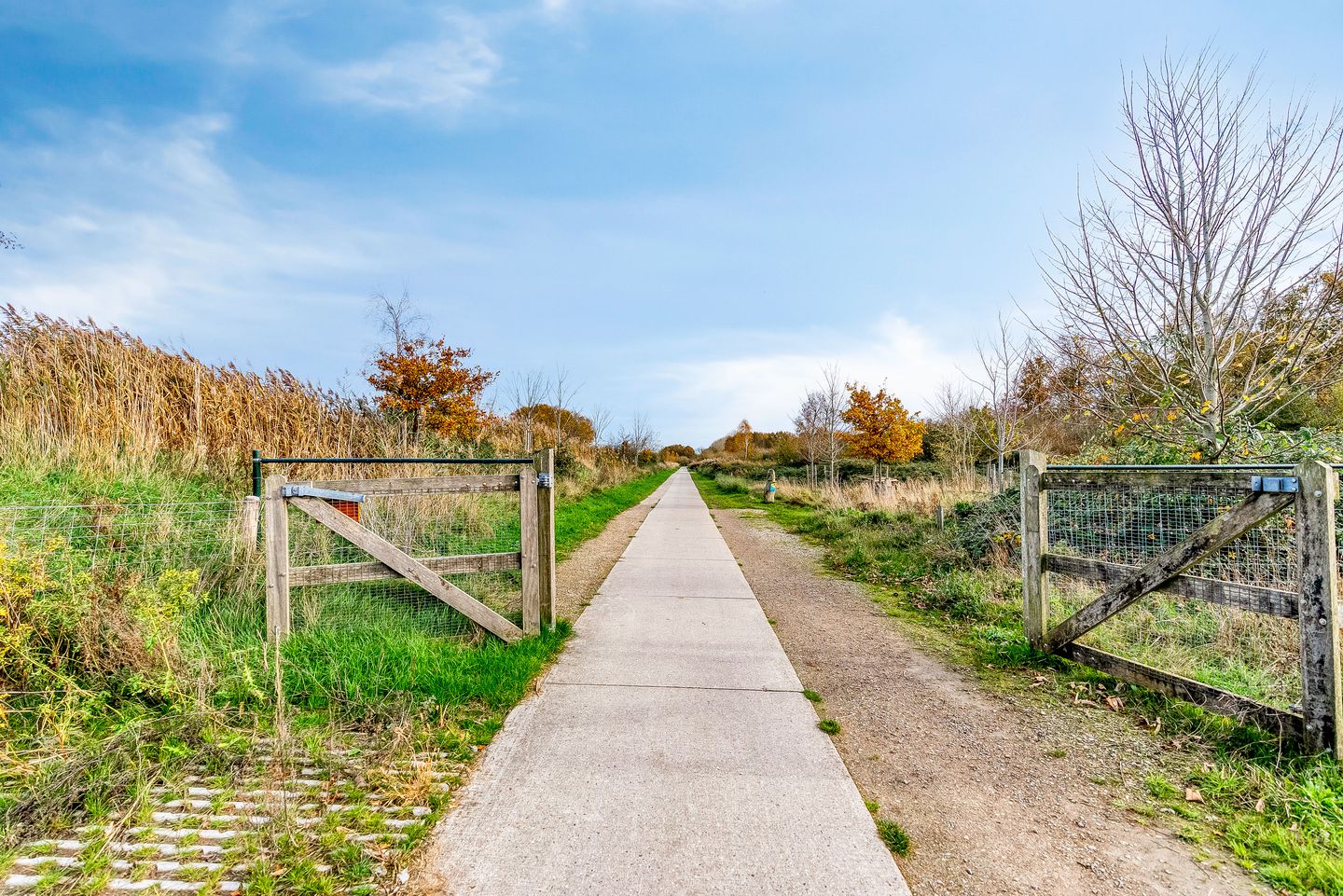 Foto 35 van Tempo Doeloestraat 240